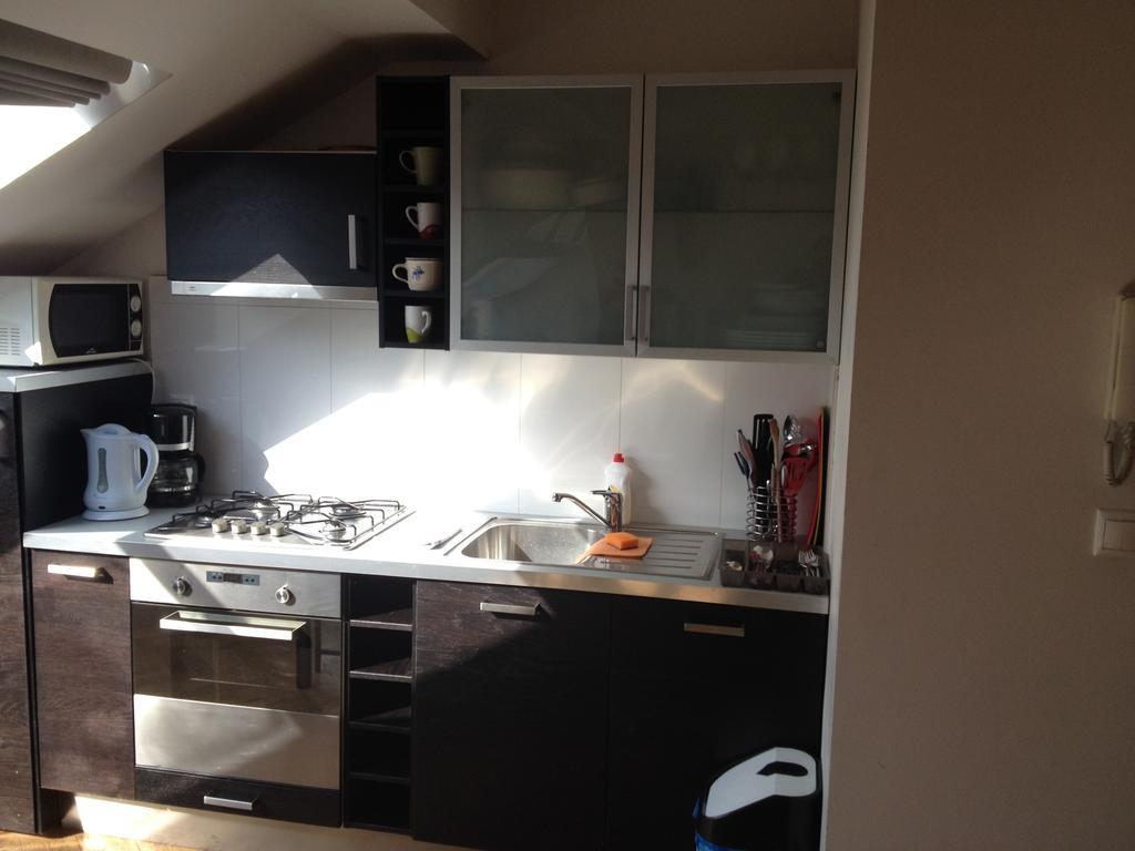 Penthouse In Vinohrady * Praha